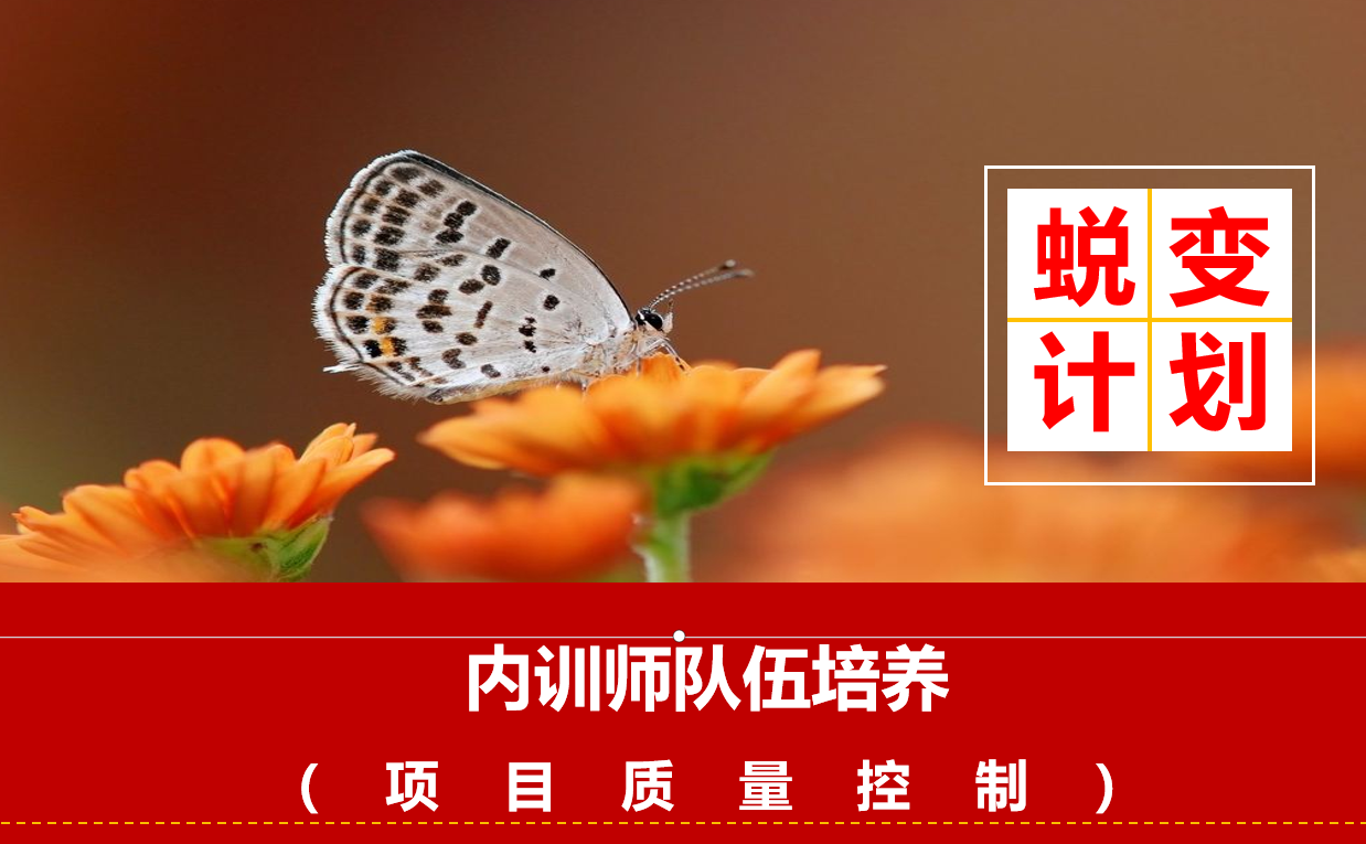 企业内训师培养——项目质量控制